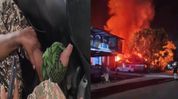 Fresh violence in Manipur's Senapati leaves CRPF personnel injured, houses set ablaze Fresh violence in Manipur's Senapati leaves CRPF personnel injured, houses set ablaze