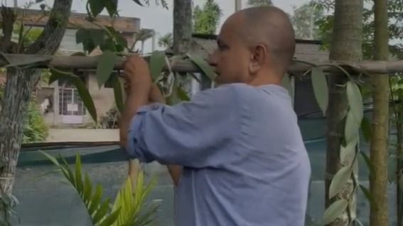 Assam: Kaliabor farmer turns to organic manure, vanilla cultivation for self-employment