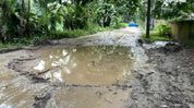 Heavy vehicles use rural roads to avoid toll, two roads damaged in Assam's Kaliabor Heavy vehicles use rural roads to avoid toll, two roads damaged in Assam's Kaliabor