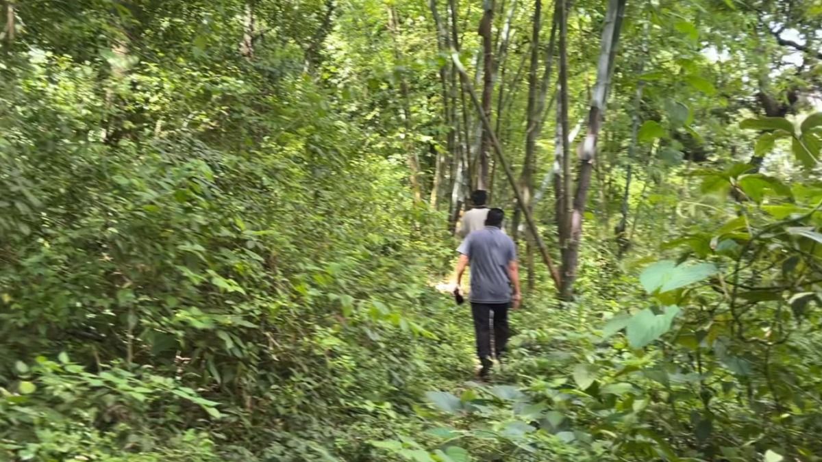 Indigenous beliefs help protect untouched forest in Manipur’s Phunal Maring