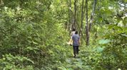 Indigenous beliefs help protect untouched forest in Manipur’s Phunal Maring Indigenous beliefs help protect untouched forest in Manipur’s Phunal Maring