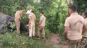 Elephant found dead near Assam-Karbi Anglong border, bullet marks raise poaching suspicion Elephant found dead near Assam-Karbi Anglong border, bullet marks raise poaching suspicion