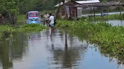 Artificial flooding wreaks havoc in Nagaon village, farmers lose paddy crop