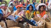 Assam: Sekoni Tea Estate workers face uncertainty as operations remain stalled for three months Assam: Sekoni Tea Estate workers face uncertainty as operations remain stalled for three months