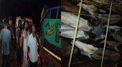 Assam: 65 cattle-laden vehicles seized in Nagaon after late-night police operation Assam: 65 cattle-laden vehicles seized in Nagaon after late-night police operation