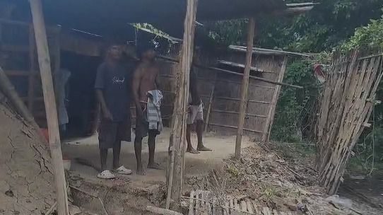 Wild elephant damages house in Assam's Kaliabor, four-member family escapes unhurt