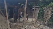 Wild elephant damages house in Assam's Kaliabor, four-member family escapes unhurt Wild elephant damages house in Assam's Kaliabor, four-member family escapes unhurt