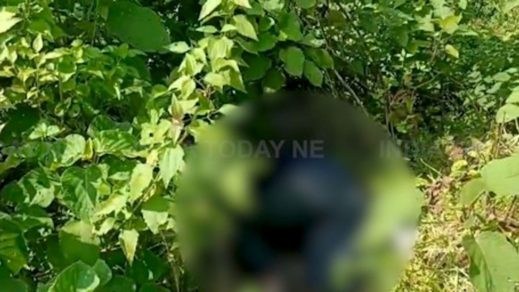 Assam: Man dies after falling into drain while fishing in Cachar