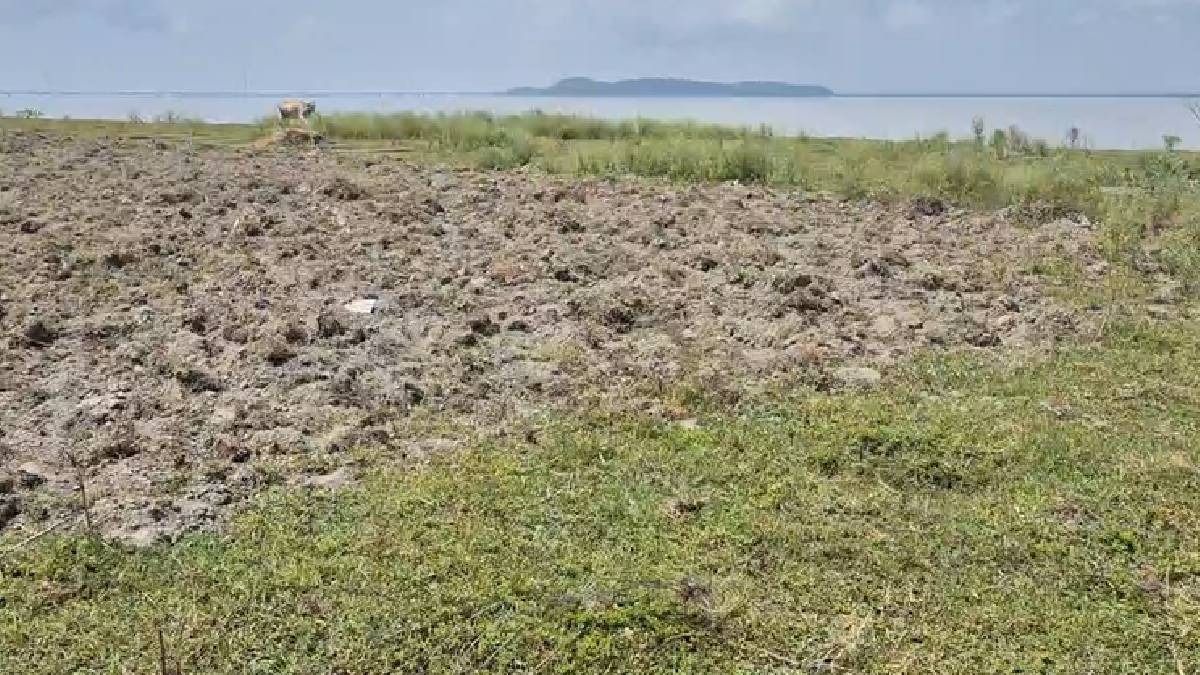 Assam: Alleged encroachment on Kaziranga sandbars raises concerns over wildlife corridors, locals seek action 