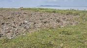 Assam: Alleged encroachment on Kaziranga sandbars raises concerns over wildlife corridors, locals seek action Assam: Alleged encroachment on Kaziranga sandbars raises concerns over wildlife corridors, locals seek action