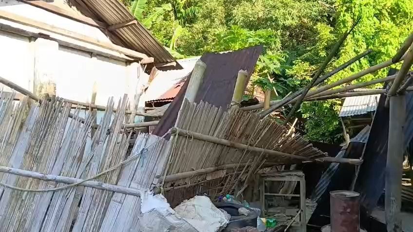 Elephant herd damages houses, paddy storage sheds in Assam's Samaguri