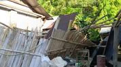 Elephant herd damages houses, paddy storage sheds in Assam's Samaguri Elephant herd damages houses, paddy storage sheds in Assam's Samaguri