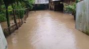 Heavy rain triggers flooding in Assam's Kaliabor, homes submerged in Bamuni, over 50 families affected Heavy rain triggers flooding in Assam's Kaliabor, homes submerged in Bamuni, over 50 families affected