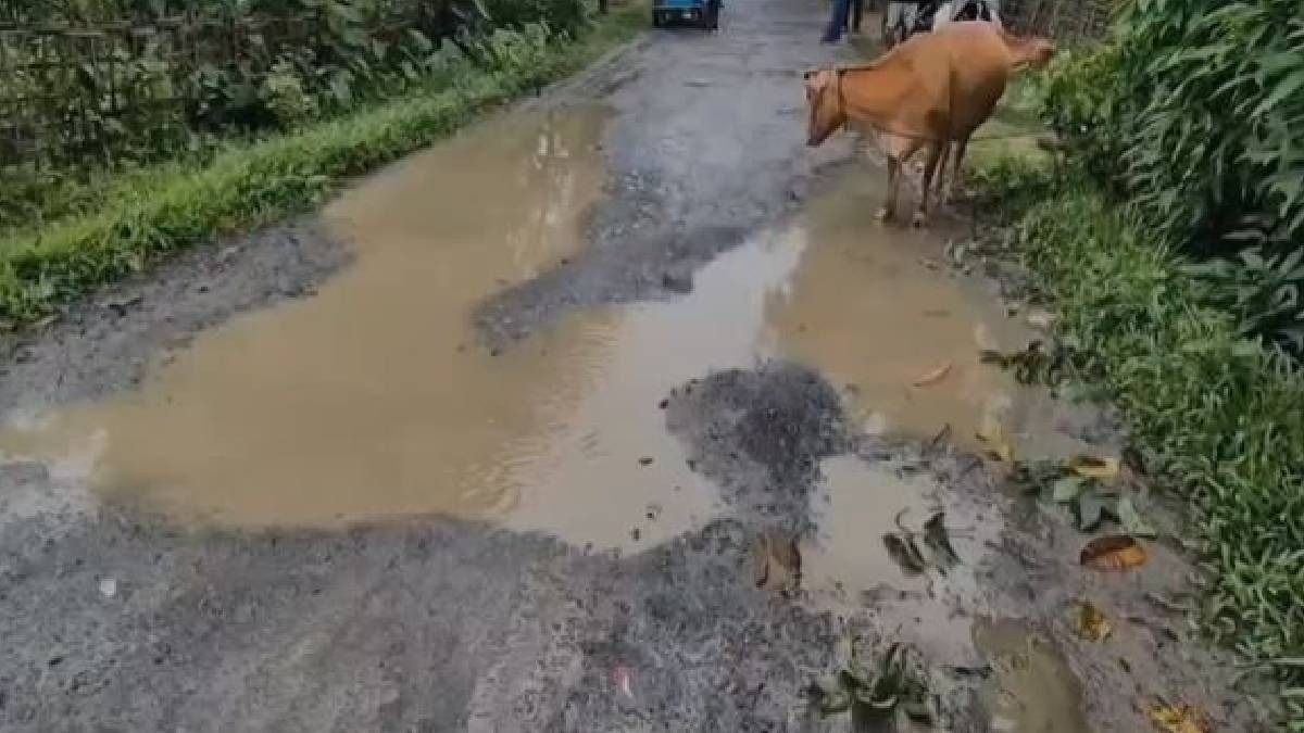 Assam: Damaged PWD road leaves Kaliabor residents facing daily commuting difficulties, demand immediate repair