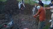Assam: 1200 quintals of banned Thai Catfish seized in Nagaon, destroyed by fisheries department Assam: 1200 quintals of banned Thai Catfish seized in Nagaon, destroyed by fisheries department