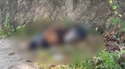58-year-old man found dead with severe injuries in Assam's Kokrajhar, murder suspected 58-year-old man found dead with severe injuries in Assam's Kokrajhar, murder suspected