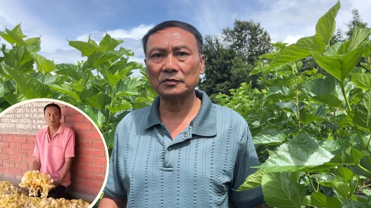 How sericulture can boost Manipur farmers’ income while helping tackle climate change