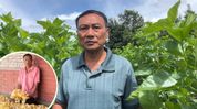 How sericulture can boost Manipur farmers’ income while helping tackle climate change How sericulture can boost Manipur farmers’ income while helping tackle climate change