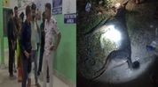 Over 40 people injured in stray dog attacks in Assam’s Cachar, vaccine shortage alleged Over 40 people injured in stray dog attacks in Assam’s Cachar, vaccine shortage alleged