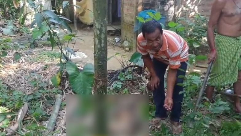 Cachar man fights off fox by grabbing its neck, seriously injured in attack