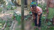 Cachar man fights off fox by grabbing its neck, seriously injured in attack Cachar man fights off fox by grabbing its neck, seriously injured in attack
