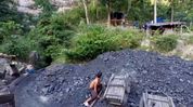Illegal coal trade, suspected tax evasion put Assam-Meghalaya border under spotlight Illegal coal trade, suspected tax evasion put Assam-Meghalaya border under spotlight