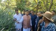 Assam minister Piyush Hazarika inspects palm oil, pineapple cultivation during Barak Valley visit Assam minister Piyush Hazarika inspects palm oil, pineapple cultivation during Barak Valley visit