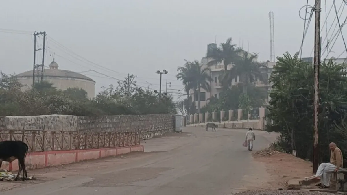ठंड से कांपा MP, 30 से ज्यादा जिलों में चल रही हैं सर्द हवाएं, ग्वालियर-चंबल में बारिश NewsTak