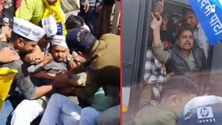 aap, protest, mp, politics