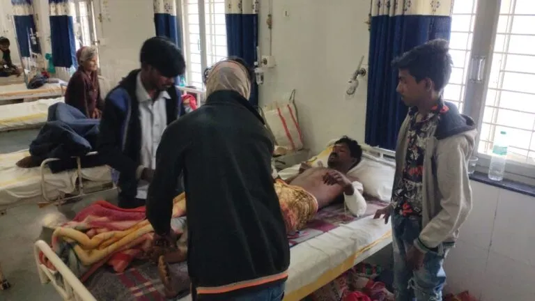 Pig attack, Farmer, Betul, Betul News, Madhya Pradesh