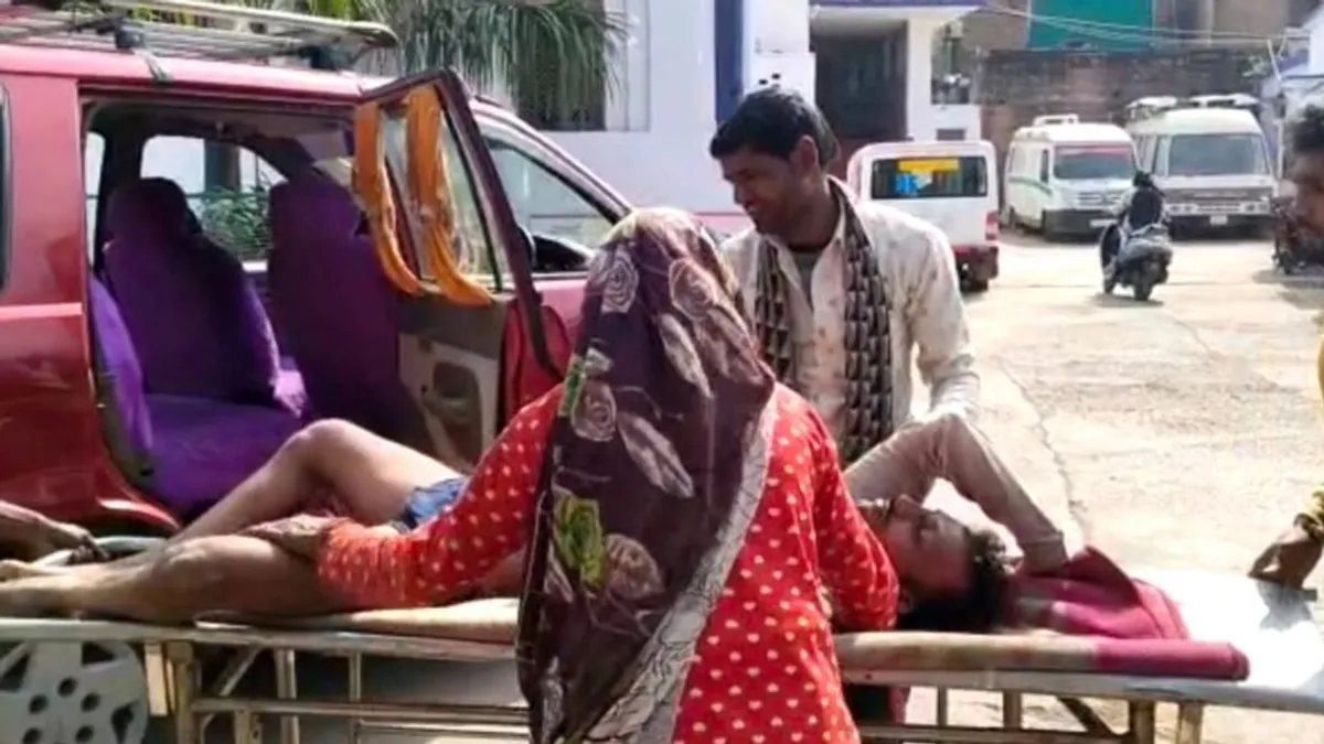 पन्ना: खेत में काम कर रहे युवक पर मधुमक्खियों का हमला, एक की मौत, 3 घायल pannanews, panna, mptak, mpnews