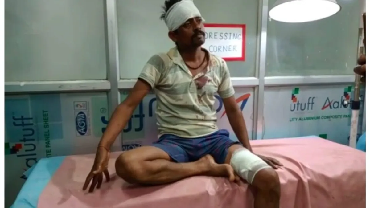 पन्ना: खेत में काम कर रहे किसान पर बाघ ने किया जानलेवा हमला, जानें फिर कैसे बची जान… pannanews, baghkahamla, mpnews,mptak
