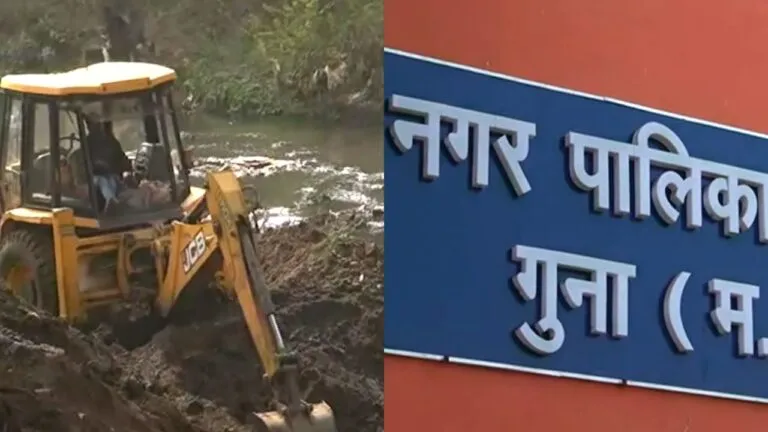 गुना में स्वाइन फ्लू की आशंका, 250 से ज्यादा सुअर मरे; नमक डाल जमीन दफनाए जा रहे शव swine flu in Guna death of more than 250 pigs Dead bodies buried by pouring salt