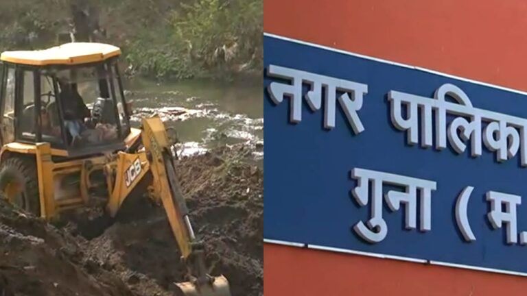 गुना में स्वाइन फ्लू की आशंका, 250 से ज्यादा सुअर मरे; नमक डाल जमीन दफनाए जा रहे शव swine flu in Guna death of more than 250 pigs Dead bodies buried by pouring salt