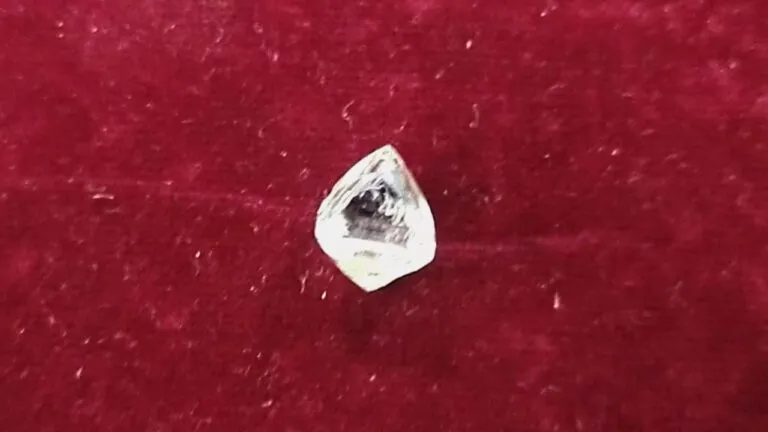 Your paragraph text (46)