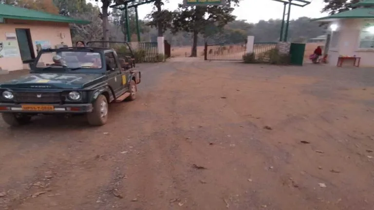 Mandla News Kanha National Park Tiger tiger attack mp news
