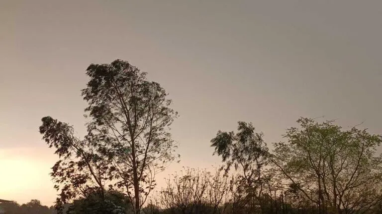 mp weather news change in weather Gwalior-Chambal Division Malwa Division narmadapuram