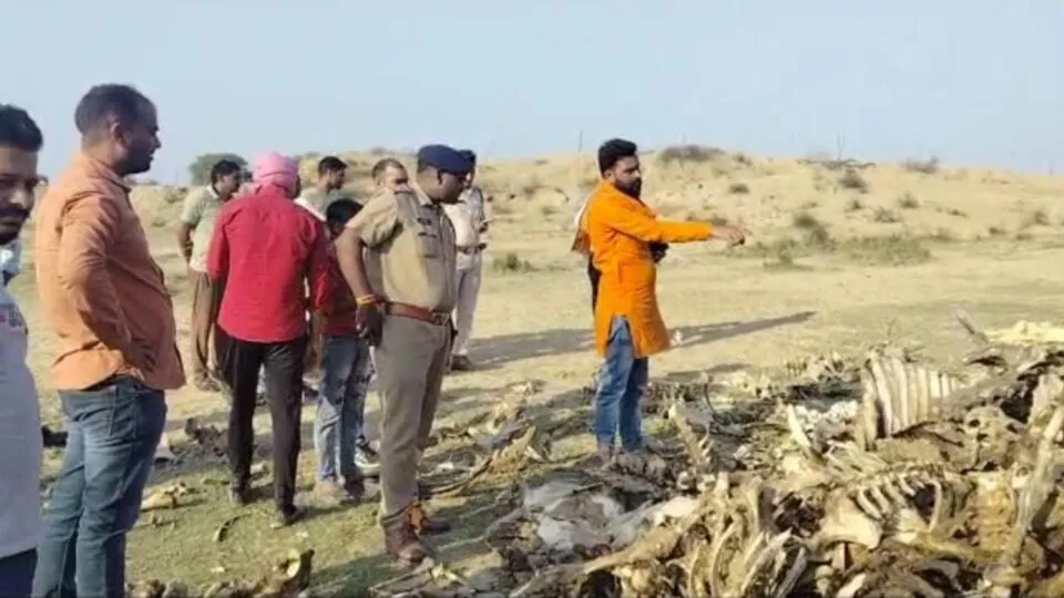 Morena, Crime, Madhya Pradesh, Crime, animal skeleton
