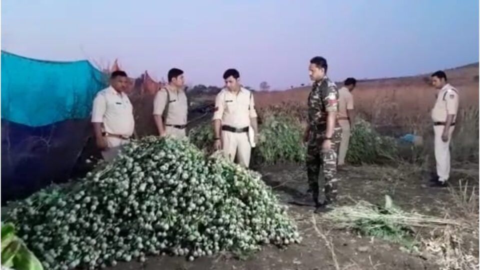 Ashoknagar: Police seized opium worth Rs 5 crore, did this jugaad to hide