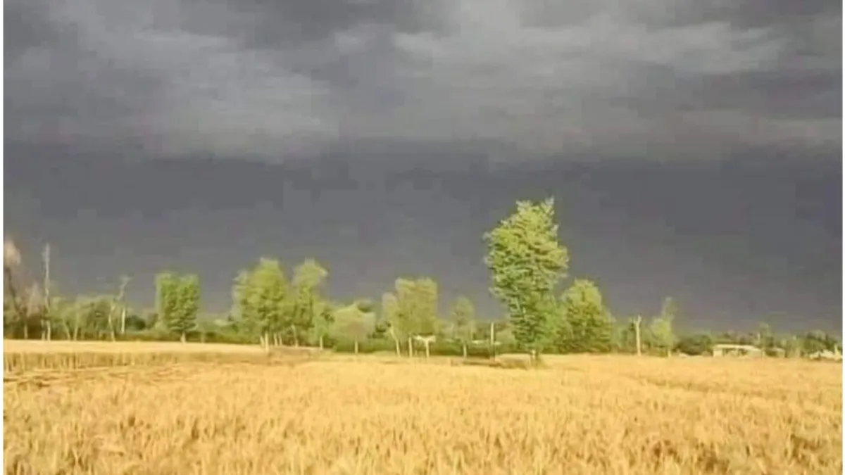 मध्य प्रदेश में फिर से बदलेगा मौसम का मिजाज, इन जगहों पर तेज आंधी के साथ बारिश के आसार Don't be surprised to see the snow cover, this is not Kashmir but MP's Khargone...