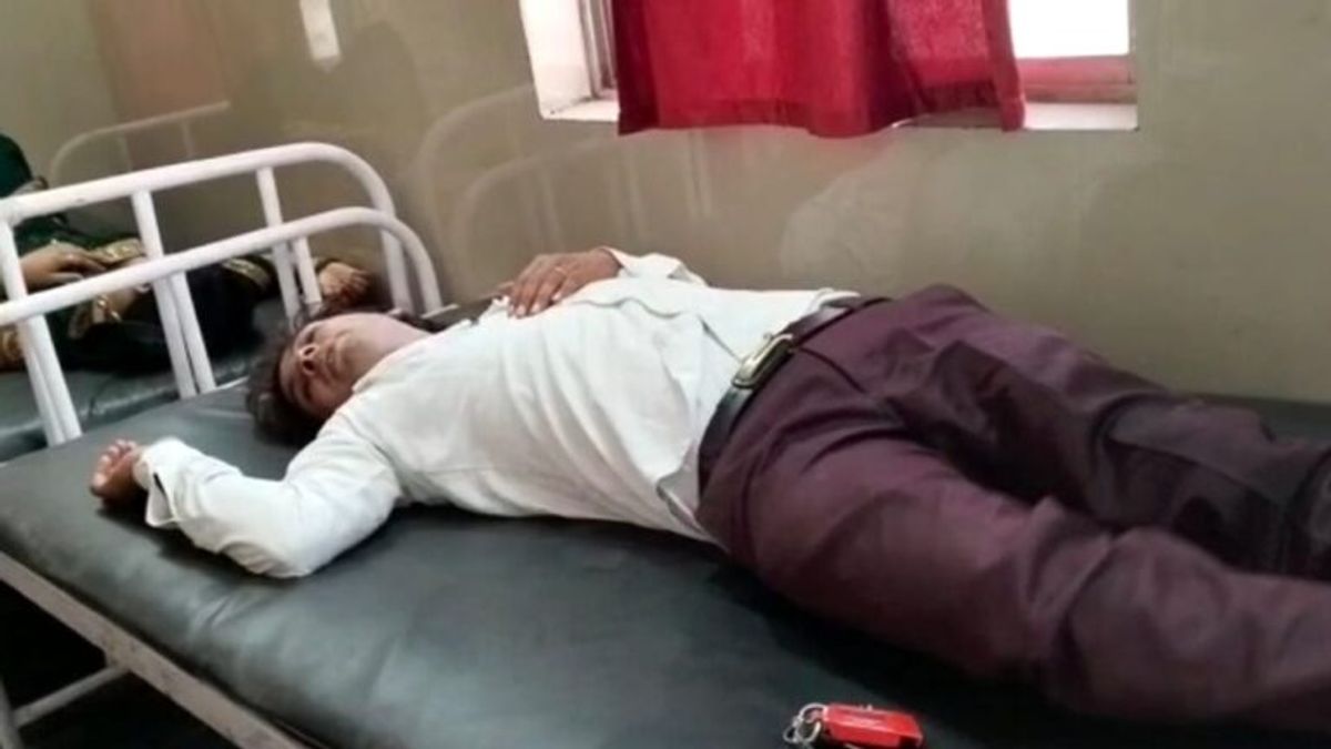 देवी दर्शन के लिए गया था परिवार, मधुमक्खियों ने किया हमला; नाजुक हालत में अस्पताल में भर्ती Panna News, bees attack, MP News, Madhya Pradesh, Injured