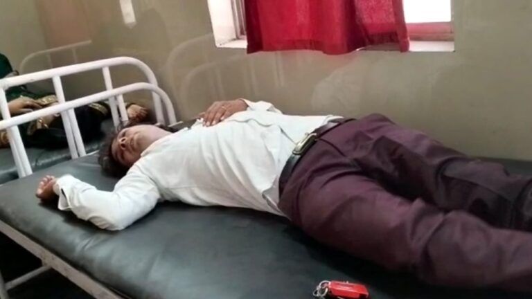 देवी दर्शन के लिए गया था परिवार, मधुमक्खियों ने किया हमला; नाजुक हालत में अस्पताल में भर्ती Panna News, bees attack, MP News, Madhya Pradesh, Injured