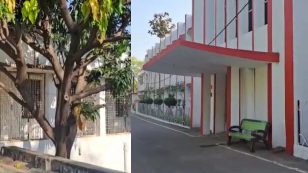 छतरपुर: कलेक्ट्रेट में नाइट ड्यूटी पर तैनात था चपरासी, पेड़ से लटक कर लगा ली फांसी Suicide, Chhatarpur, Chhatarpur News, Crime, Madhya pradesh