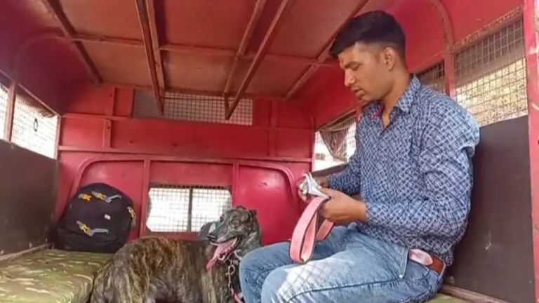 mp police Rampur Breed Dog narsinghpur news mp news