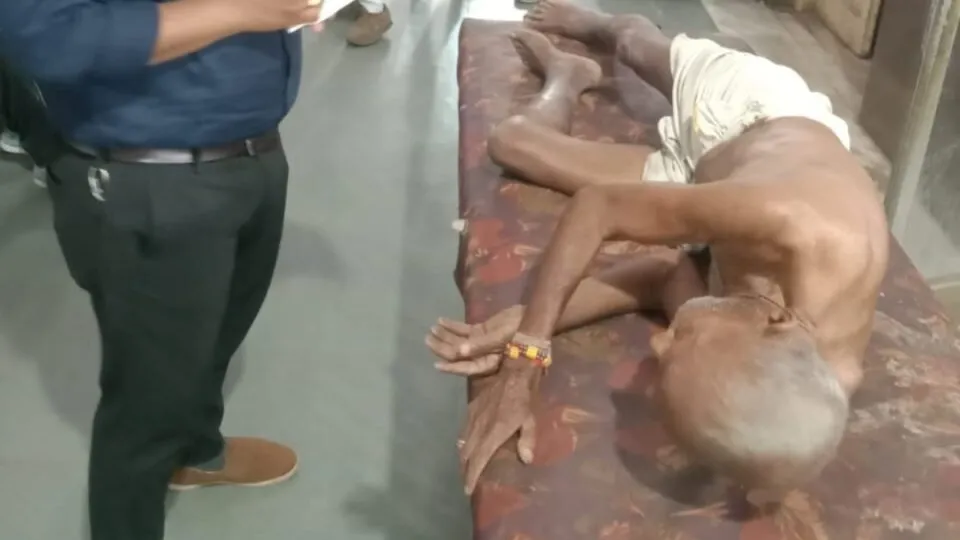 Hundreds of bees fell on the elderly, removed 100 stings from the body, don't know how to save life