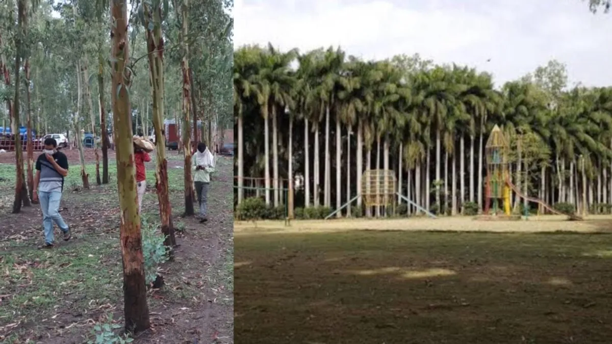 मधुमक्खी के हमले से वर्कर की मौत, गुस्साए यूनियन ने प्रबंधन पर लगाए लापरवाही के आरोप; कहा-मजदूरों को छोड़कर भागे अधिकारी bee attack, Guna, Guna News, Madhya Pradesh