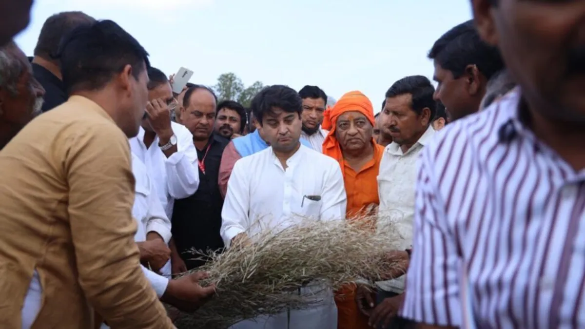MP में किसानों पर काल बनकर बरस रहे ओले, फसलों की बर्बादी देख सिंधिया और नरोत्तम भी हुए ‘निशब्द’ Hail is raining like death on farmers in MP, Scindia and Narottam were also 'speechless' after seeing the destruction of crops