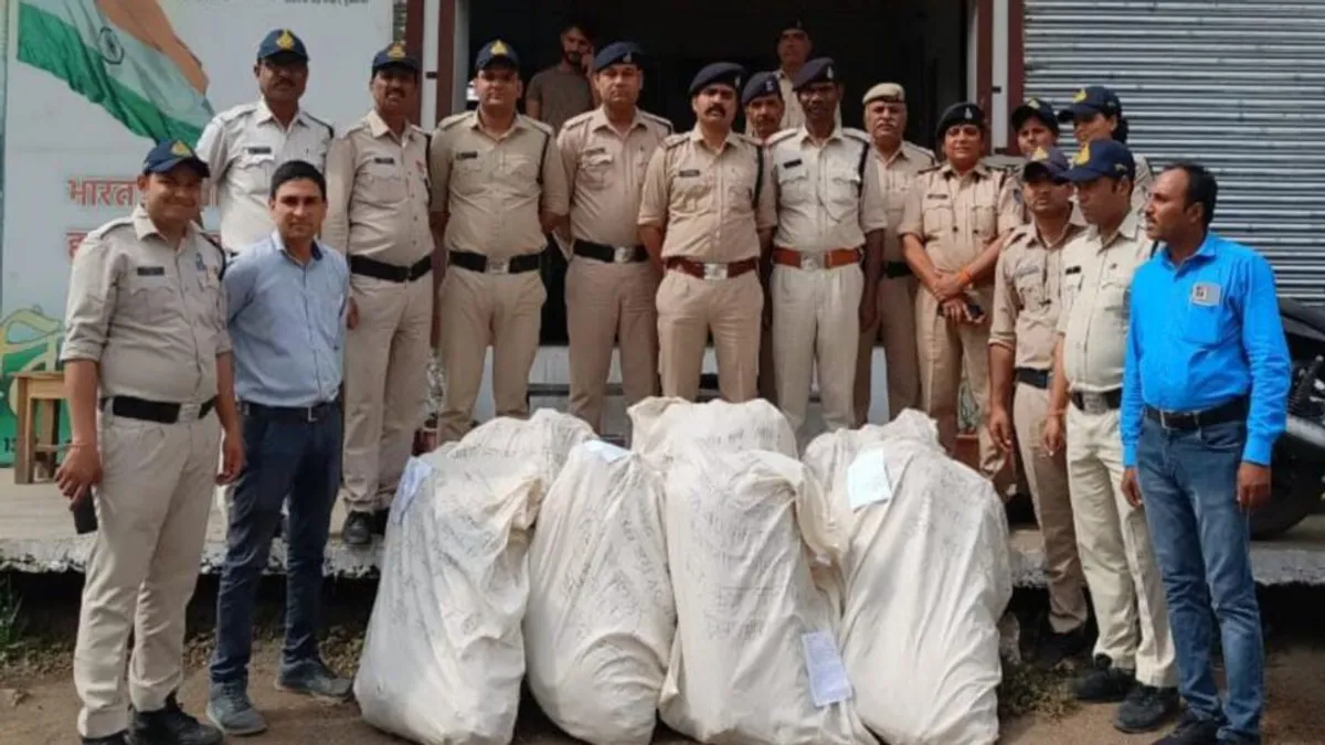 प्याज और लहसुन की खेती की आड़ में उगा रहे थे अफीम, पुलिस ने किया भंडाफोड़ Opium cultivation was being done between onion and garlic, police seized poppy plants worth 18 lakhs