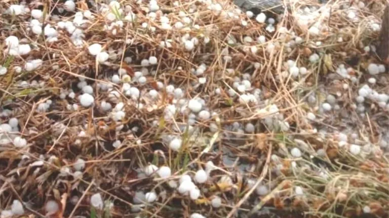 Weather News, Today Weather, MP News, News Update, Madhya Pradesh, Rain