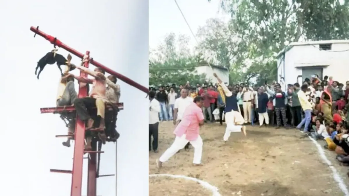 रायसेन में होली की अजीब परंपरा, ऊपर लटकाकर घुमाते हैं बकरा; फिर इंसानों को मारते हैं कोड़े Holi, Raisen, Raisen News, Holi 2023, Madhya Pradesh